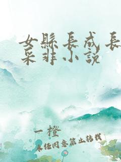 女县长成长史王采非小说