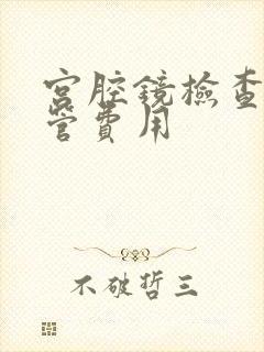 宫腔镜检查输卵管费用