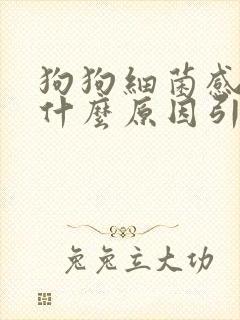 狗狗细菌感染是什么原因引起的