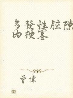 多发性腔隙性脑内梗塞