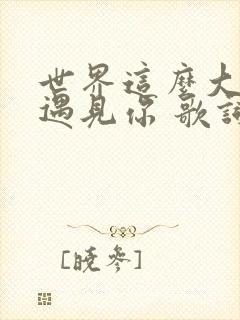 世界这么大还是遇见你 歌词