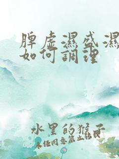 脾虚湿盛湿气重如何调理