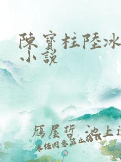 陈宝柱陆冰嫣的小说