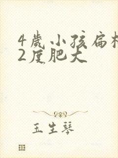 4岁小孩扁桃体2度肥大