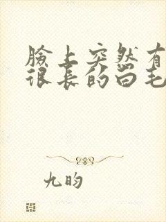 脸上突然有一根很长的白毛