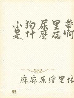 小狗尿里带点血是什么病啊