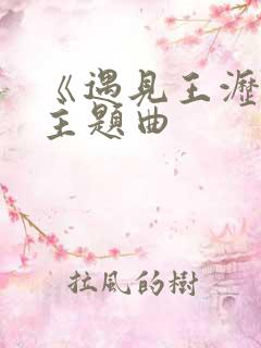 《遇见王沥川》主题曲