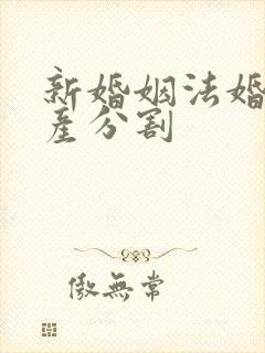 新婚姻法婚前房产分割