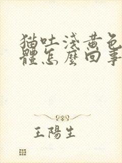 猫吐浅黄色的液体怎么回事