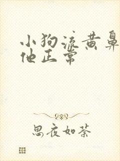 小狗流黄鼻涕其他正常