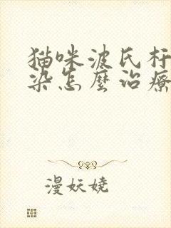 猫咪波氏杆菌感染怎么治疗