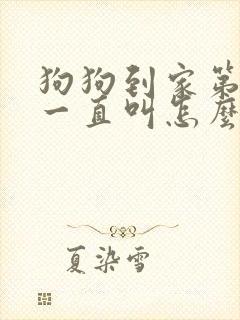 狗狗到家第一天一直叫怎么办