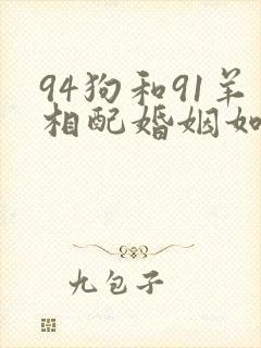 94狗和91羊相配婚姻如何
