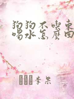 狗狗不吃东西总喝水怎么回事