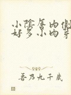 小阴唇内侧长了好多小肉芽