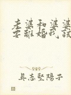 老婆和婆婆吵架要离婚我该怎么办