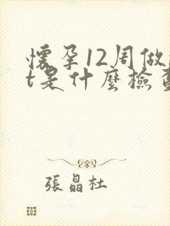 怀孕12周做nt是什么检查