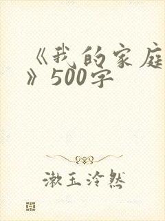 《我的家庭故事》500字