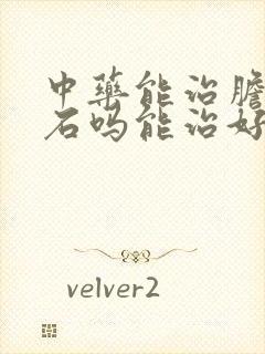 中药能治胆囊结石吗能治好吗多少钱