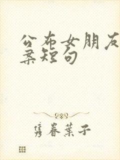 公布女朋友的文案短句