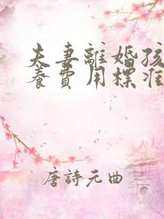 夫妻离婚孩子抚养费用标准