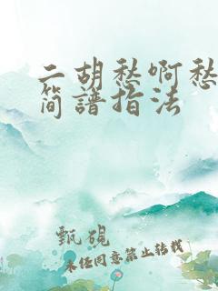 二胡愁啊愁g调简谱指法