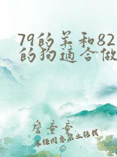 79的羊和82的狗适合做夫妻吗