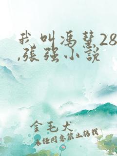 我叫冯慧28岁,张强小说