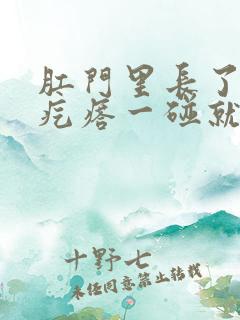 肛门里长了一个疙瘩一碰就疼