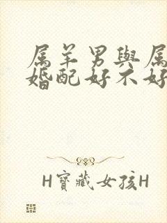 属羊男与属马女婚配好不好