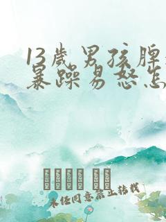 13岁男孩脾气暴躁易怒怎么办