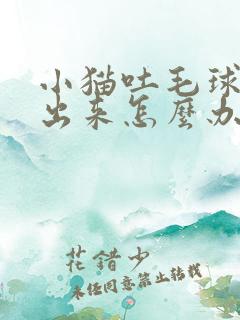 小猫吐毛球吐不出来怎么办