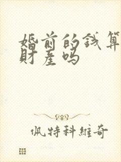 婚前的钱算共同财产吗