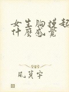 女生胸摸起来是什么感觉