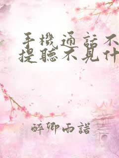 手机通话不开免提听不见什么原因