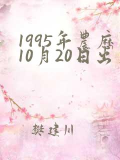 1995年农历10月20日出生:命运如何