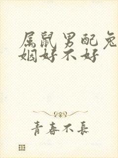 属鼠男配兔女婚姻好不好