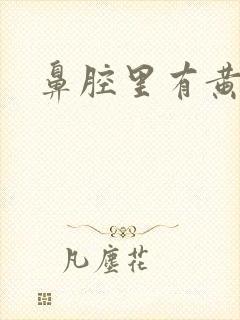 鼻腔里有黄鼻涕