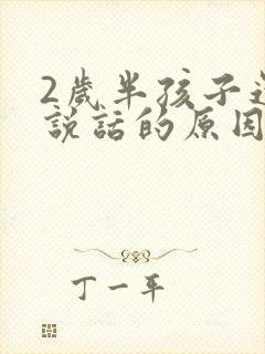 2岁半孩子还不说话的原因