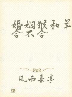 婚姻猴和羊属相合不合