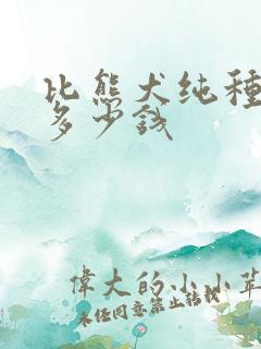 比熊犬纯种大约多少钱