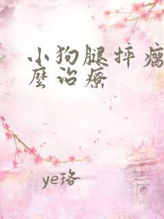 小狗腿摔瘸了怎么治疗