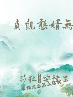 贞观憨婿无弹窗