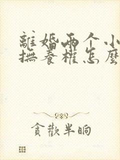 离婚两个小孩的抚养权怎么判