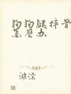 狗狗腿摔骨折了怎么办