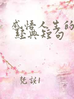 感悟人生的句子 经典短句