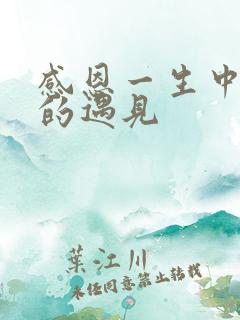 感恩一生中所有的遇见