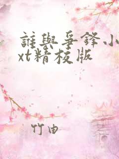 谁与争锋小说txt精校版