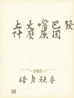 上火嘴巴发苦是什么原因