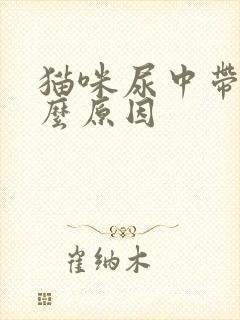 猫咪尿中带血什么原因